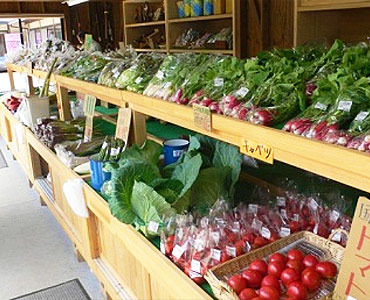 地元食材の直売所