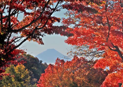「紅葉と富士山」