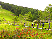 Maison de View Yatsugatake