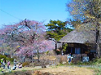 Yatsugatake Lodge with Antioxidative Ceramic Sauna