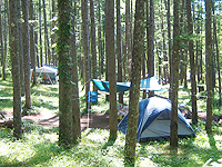 Tatsuba River Campsite