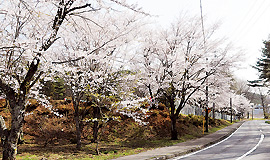 Tour of Fujimi's ancient stone deities