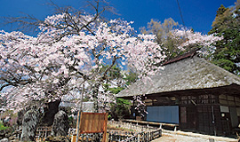 Tour of Fujimi's ancient stone deities