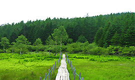 Autumn tour of the geopark Mt. Nyukasa