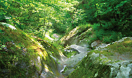 Yatsugatake climbing tour on Mt. Nishidake with hot spring