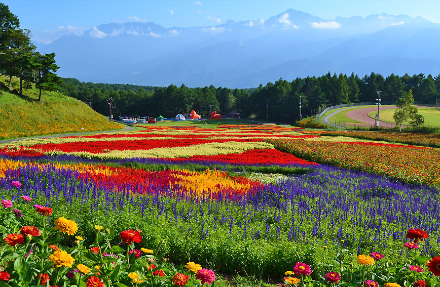 Touring Yatsugatake's hidden gems and the flower garden at the elevation of 1,420m