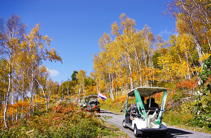 Touring Yatsugatake's hidden gems and the flower garden at the elevation of 1,420m