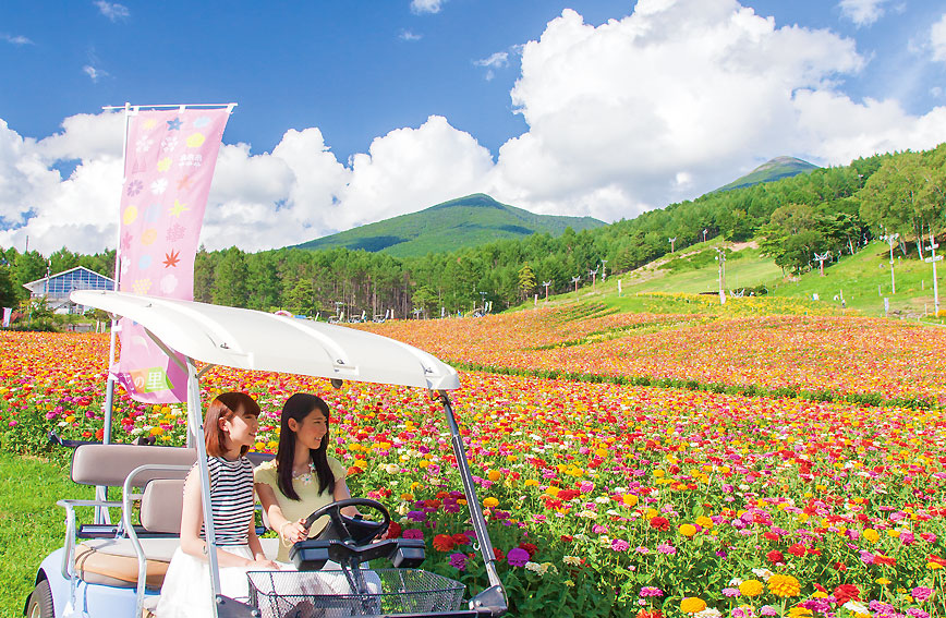 Touring Yatsugatake's hidden gems and the flower garden at the elevation of 1,420m