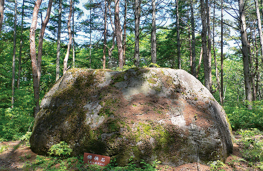 Yatsugatake's ancient trail ablaze with autumn colors