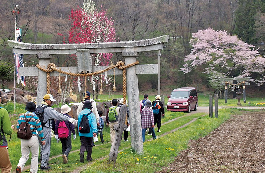 Tour of ancient weeping cherry trees in Shinano-Sakai