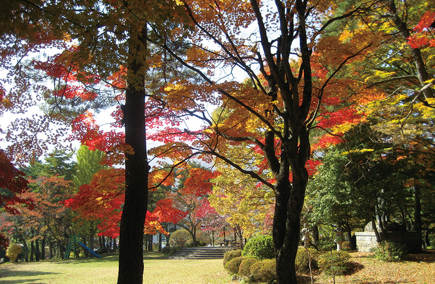 Literary walk through autumn foliage