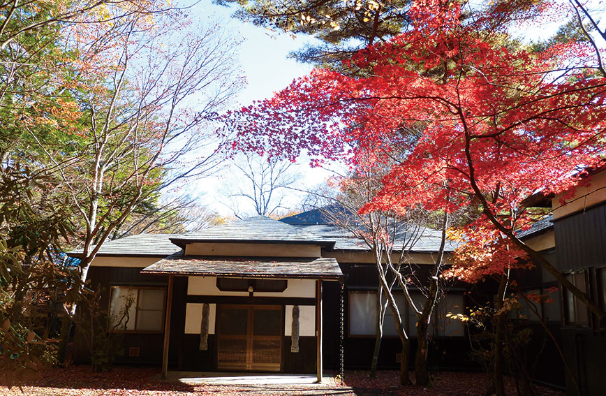 Literary walk through autumn foliage