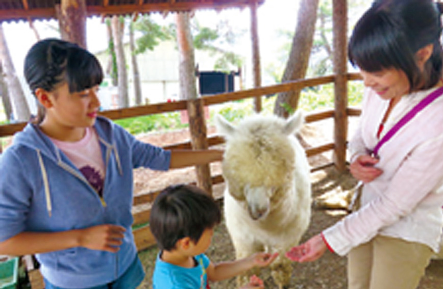 Yatsugatake Alpaca Farm