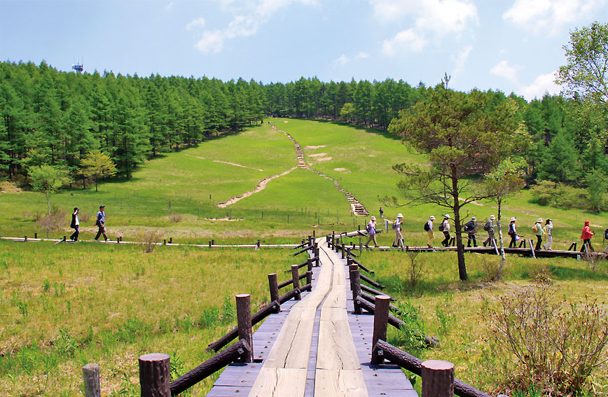 Nyukasa Marsh and Mt. Nyukasa