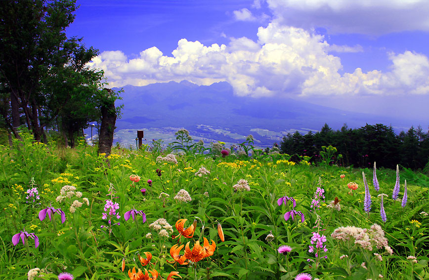 Nyukasa Suzuran Park and Lover's Sanctuary