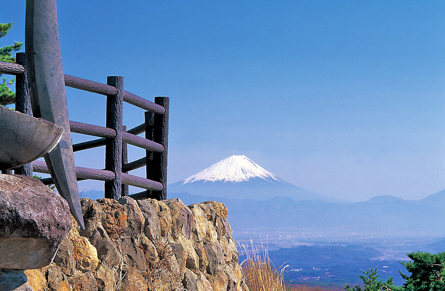 Sozo-no-Mori Forest