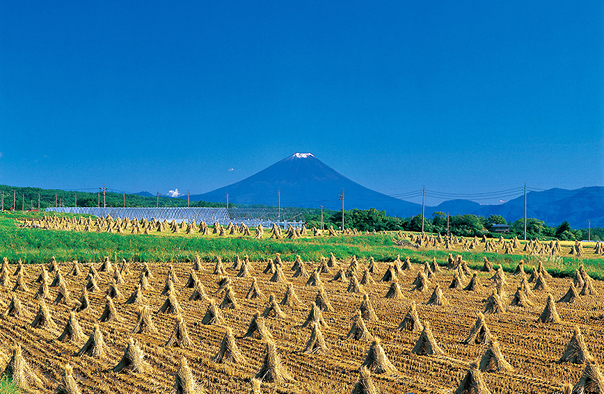 Tatsuzawa rice field area