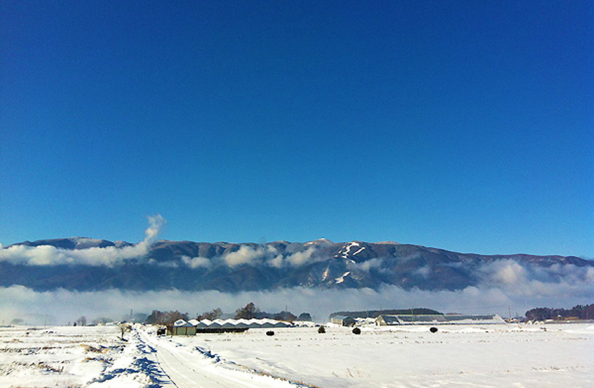 Tatsuzawa rice field area