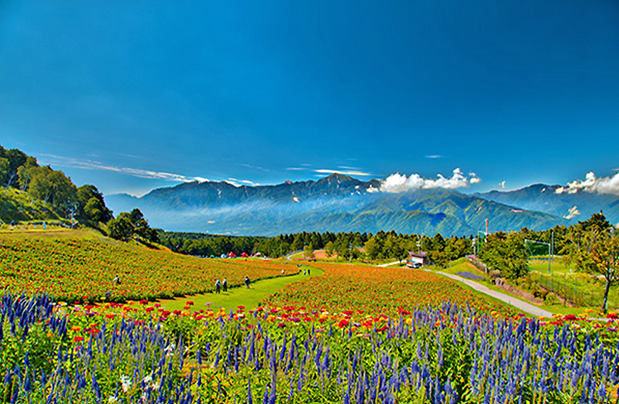 Fujimi Kogen Hana-no-Sato Flower Garden