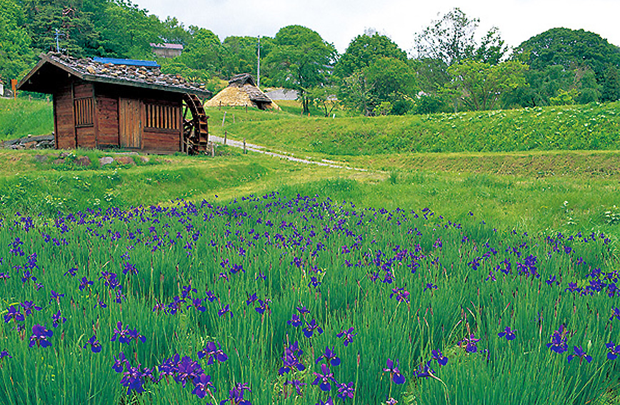 Idojiri Historical Park