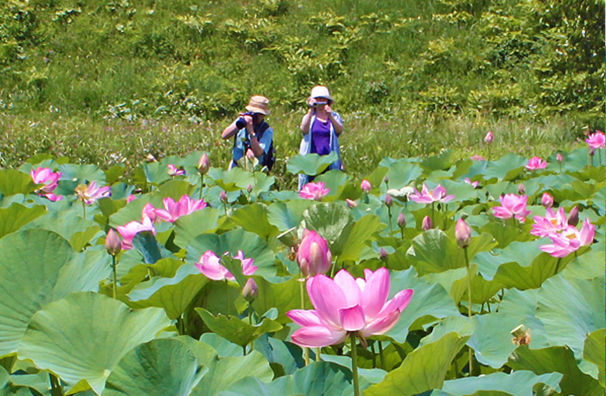 Idojiri Historical Park