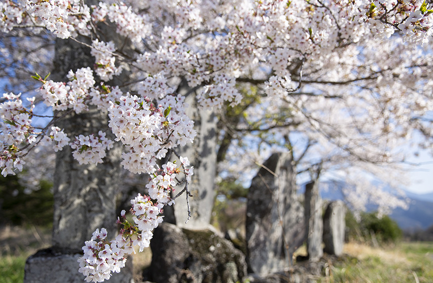 Tour of Fujimi's ancient stone deities