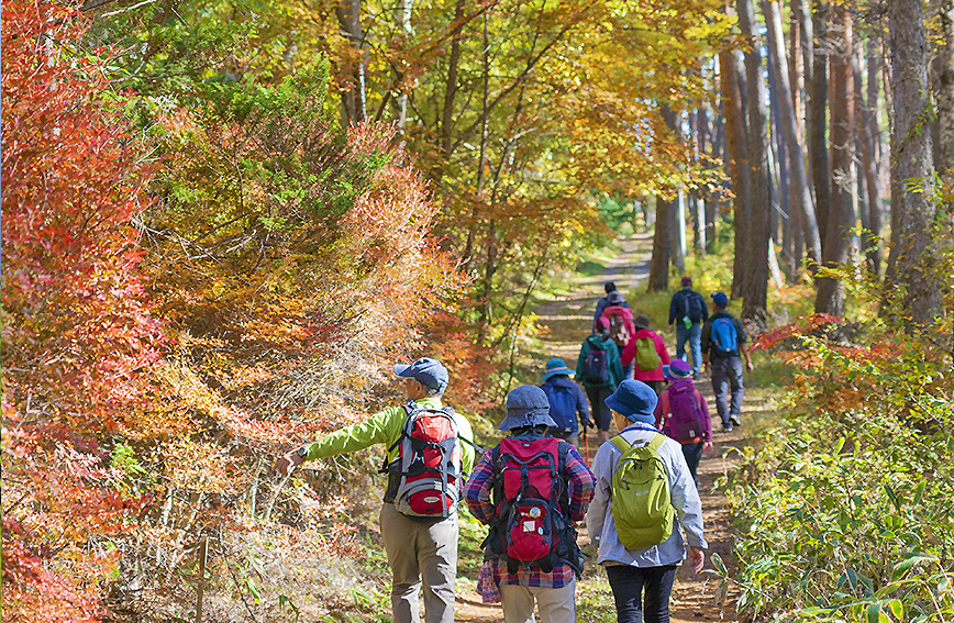 Tour of Yatsugatake ablaze with autumn colors