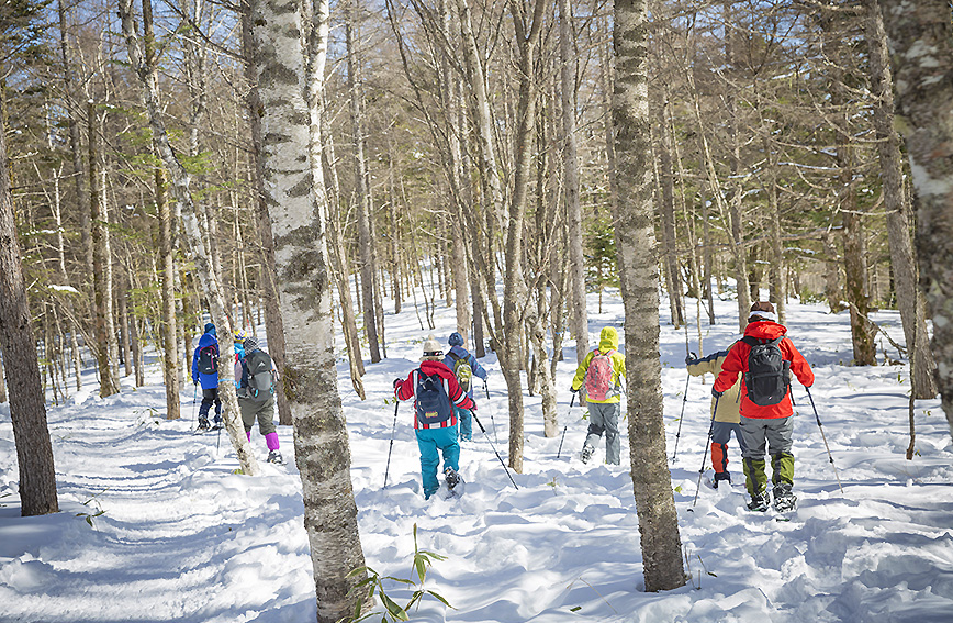 Snowshoe tour of winter Mt. Nyukasa