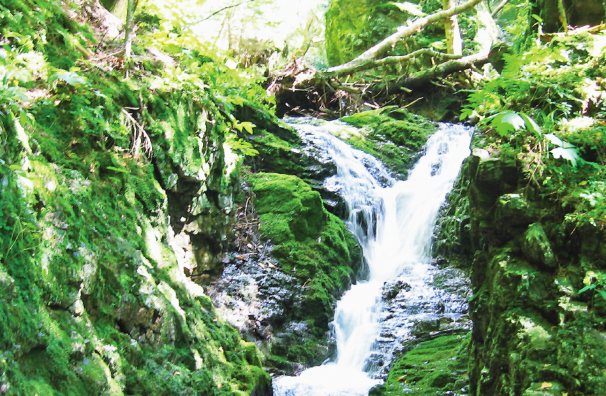 Trekking Mt. Nyukasa to explore Minami-Alps UNESCO Biosphere Reserve