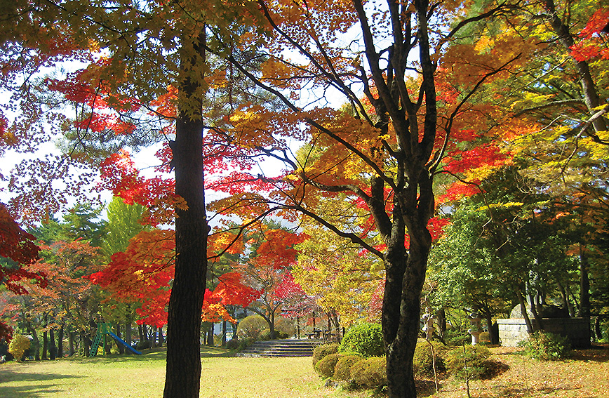 Literary walk through autumn foliage