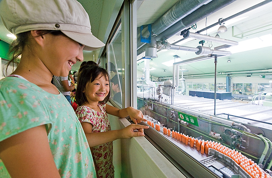 Factory tour & harvesting