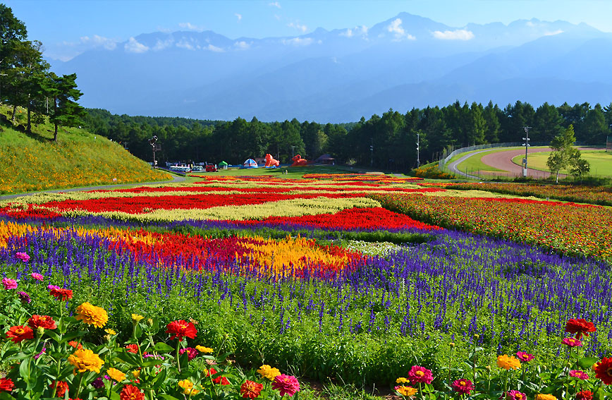 Hana-no-Sato Flower Garden