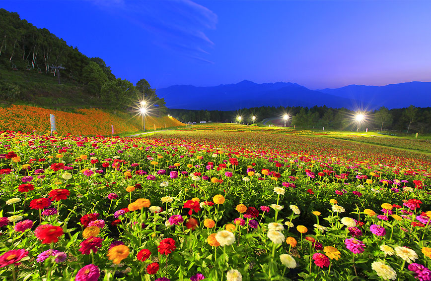 Hana-no-Sato Flower Garden