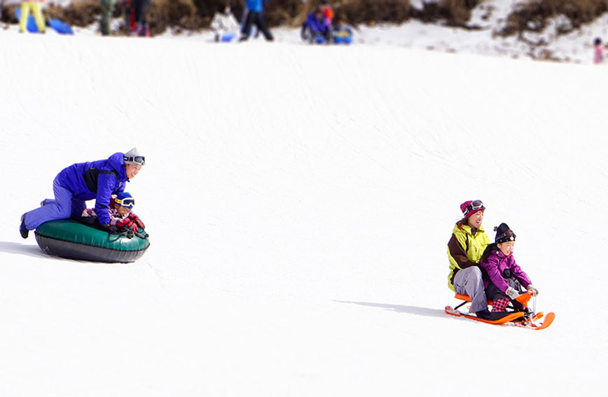 Ski Resort and Kids Snow Land
