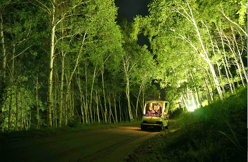 Tenku forest self-driving cart