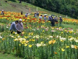 富士見高原花の里の様子