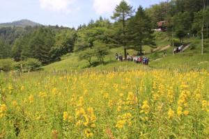 入笠湿原の様子