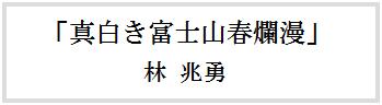 優秀賞作品　真白き富士山春爛漫