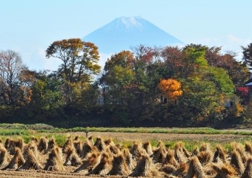 富 優秀賞 「静寂な晩秋」