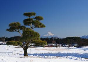 富 佳作 「初春」