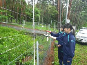 電気柵の確認