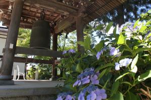 三光寺のあじさい