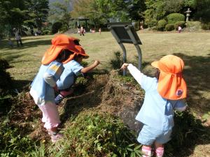 園児が葉っぱや小枝で遊んでいる写真です