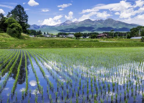 「水と緑・潤う山麓」