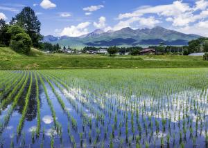 水と緑と・潤う山麓