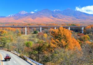 秋の八ヶ岳