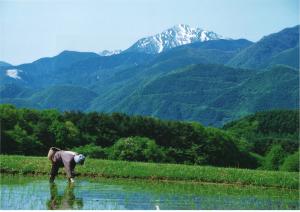 町民賞