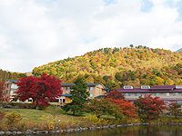 ホテル八峯苑 鹿の湯