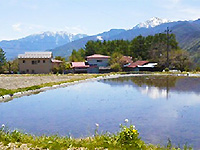 抗酸化陶板浴 八ヶ岳山荘