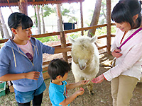 八ヶ岳アルパカ牧場